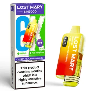 Lost Mary 6000